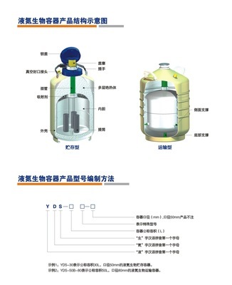 四川液氮罐YDS-10 成都鈞喬科技的專業選擇與價格指南