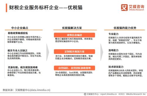 2021上半年中國(guó)財(cái)稅企業(yè)服務(wù)市場(chǎng)洞察 數(shù)字化驅(qū)動(dòng)下的信息咨詢(xún)服務(wù)新格局